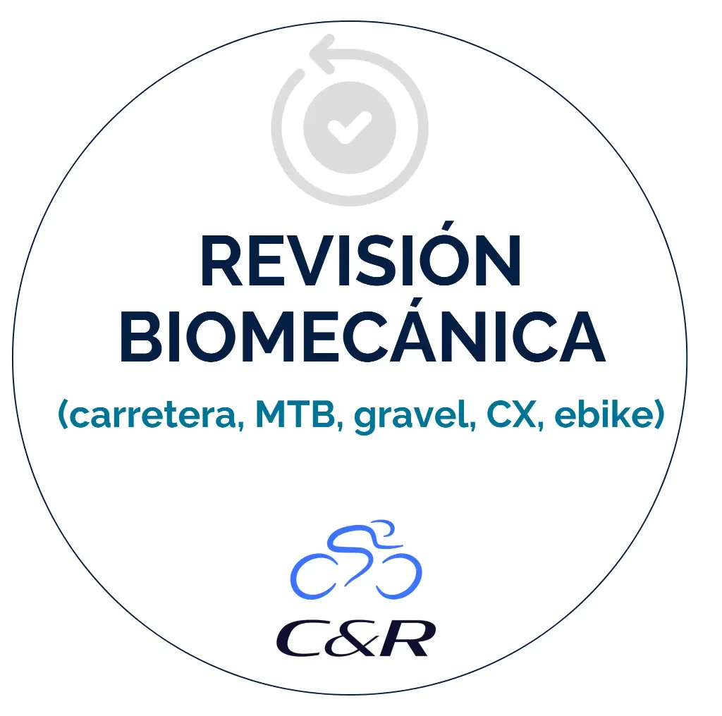 Revisión