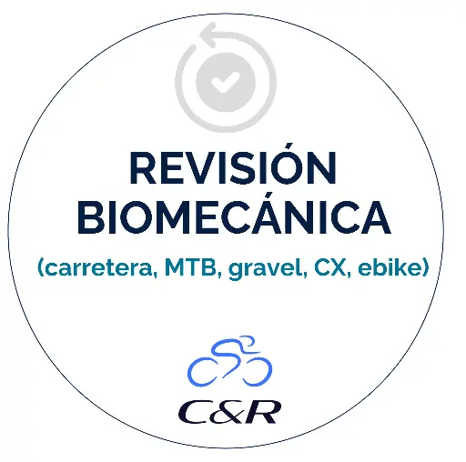 Revisión